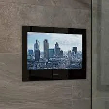 ProofVision 24" Inch Premium Waterproof Bathroom Smart TV - Black