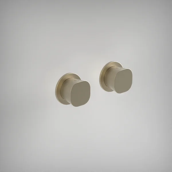 Ava Purity Hot & Cold Stop Valves W/ Flanges - Brushed Brass