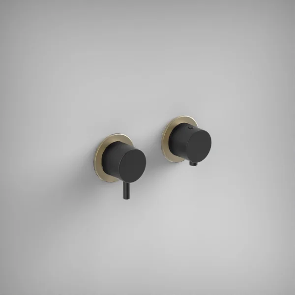 Ava Trend 2 Way 2 Handle Thermostatic Valve W/ Brushed brass flanges - Brushed Black