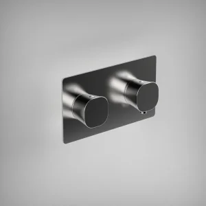 Ava Purity 1 Way 2 Handle Thermostatic Valve W/ Backplate - Polished Stainless Steel