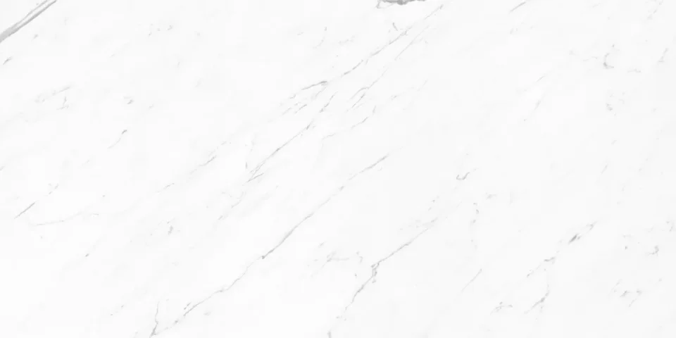 European Tiles Marmo STATUARIO LUX ONDA 120 X 60 Rectified Matte Tile detail view - Image 9