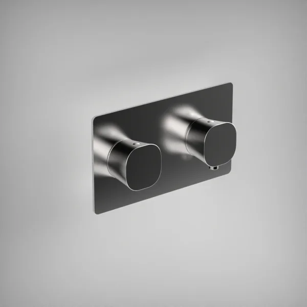 Ava Purity 2 Way 2 Handle Thermostatic Valve W/ Backplate 3.0 - Polished Stainless Steel
