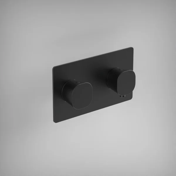 Ava Purity 2 Way 2 Handle Thermostatic Valve W/ Backplate 3.0 - Brushed Black