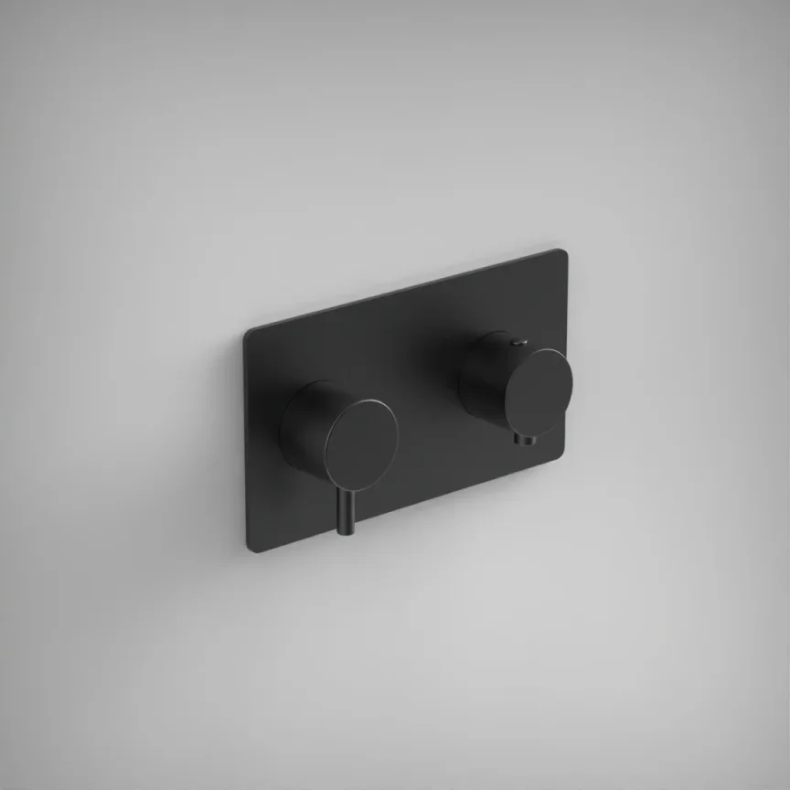 Ava Trend 2 Way 2 Handle Thermostatic Valve W/ Backplate 3.0 - Brushed Black product image - Image 1