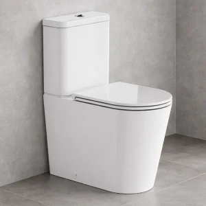 Britton Hoxton Round Cc Pan Fully Back To Wall Rimless Inc Seat And Fixings