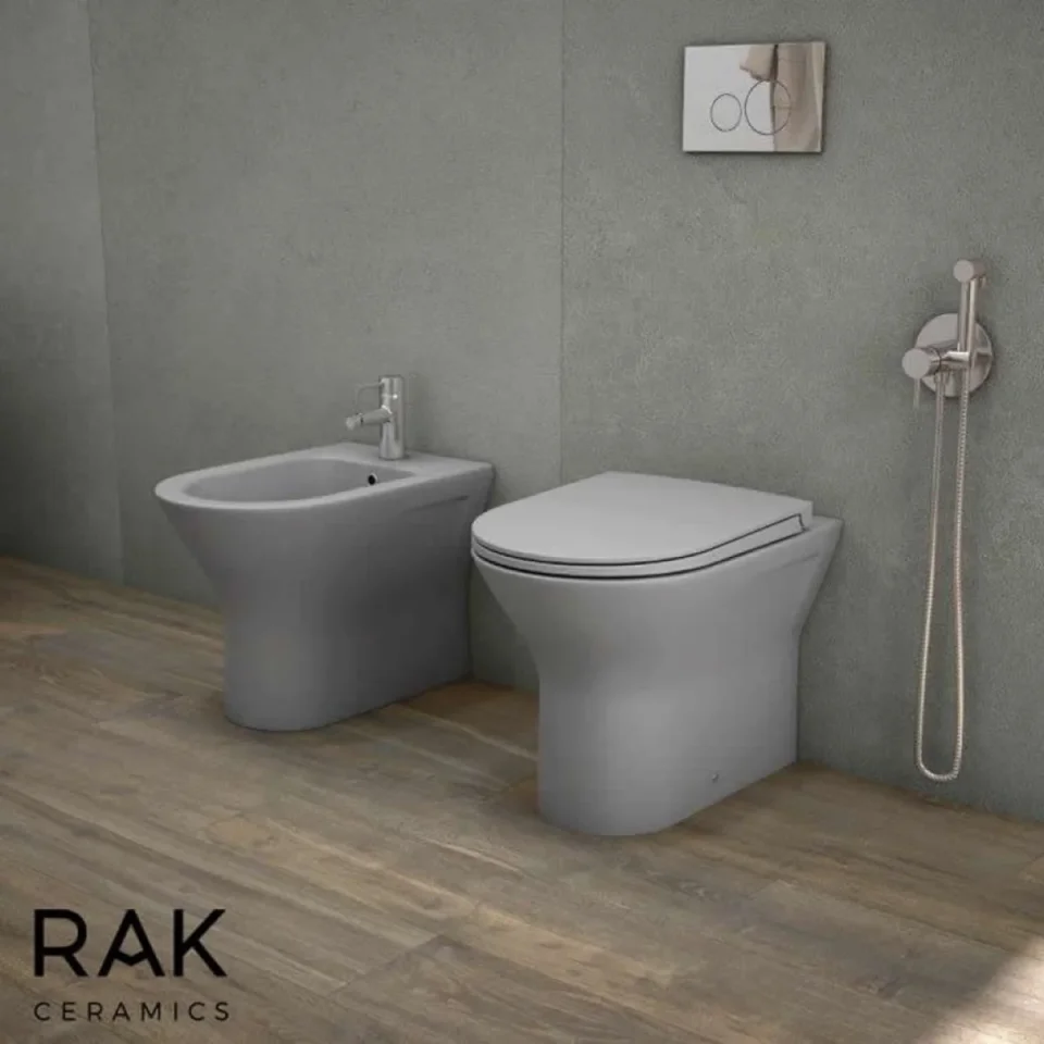 Rak Feeling Rimless Back To Wall Pan In Matt Grey product image - Image 1