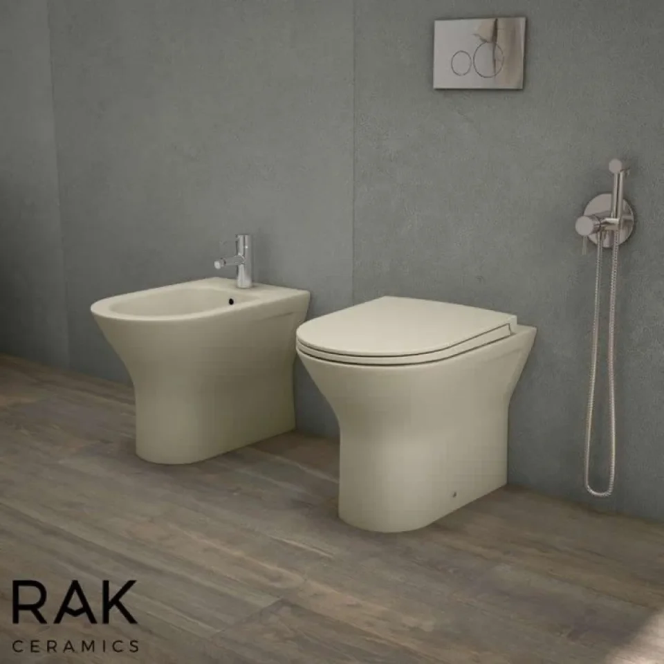 Rak Feeling Rimless Back To Wall Pan In Matt Cappuccino product image - Image 1