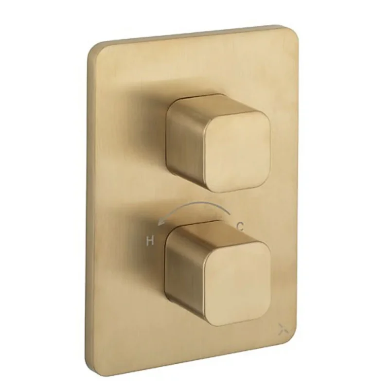 Crosswater Crossbox Atoll / Glide II 2 Outlet Trim & Levers Brushed Brass detail view - Image 2