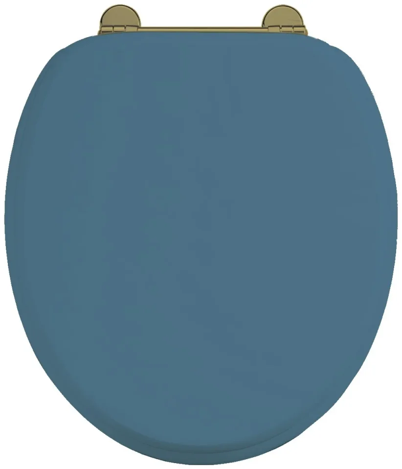 Burlington Bespoke Seat Blue With Gold Hinges detail view - Image 2