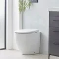Roper Rhodes 490mm Paradigm Back To Wall Rimless Wc Pan detail view - Image 2