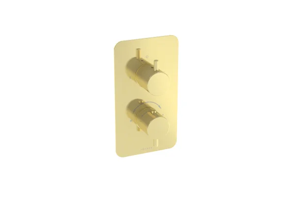 Saneux Cos 1 Way Thermostatic Shower Valve Kit - W/ Classic Handle - Brushed Brass (pvd)