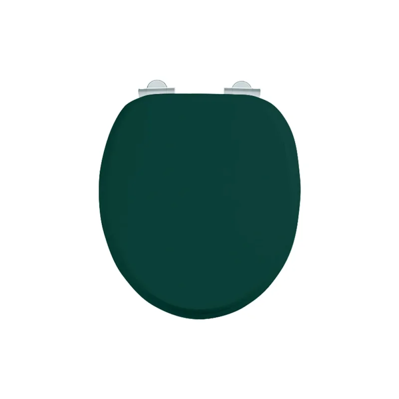 Burlington Soft Close Toilet Seat Matt Green product image - Image 1