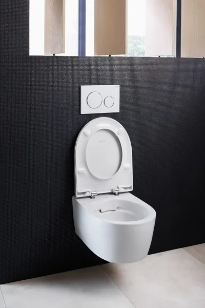 Geb 204000000 Icon Wall Hung Wc