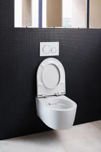Geb 204000000 Icon Wall Hung Wc