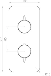 Saneux Eden 1 Way Thermostatic Shower Valve Kit In Portrait - Brushed Brass