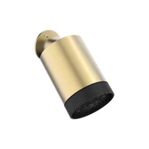 Crosswater Revive Multi Mode Showerhead Brushed Brass