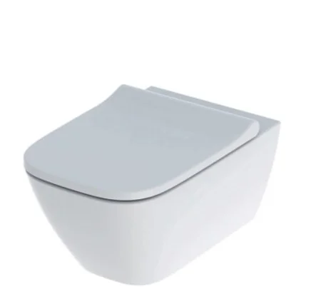Geberit Smyle Square Wall Hung Pan & Soft Close Seat (rimfree)