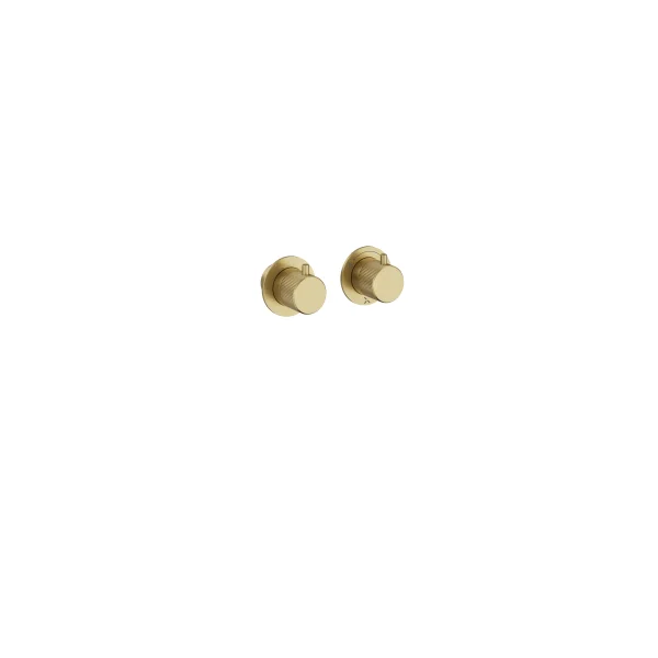 Crosswater Module 3one6 2 Control Diverter Trimset Stainless Brushed Brass Effect