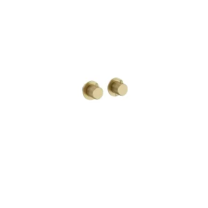 Crosswater Module 3one6 2 Control Diverter Trimset Stainless Brushed Brass Effect