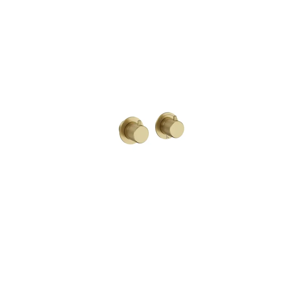 Crosswater Module 3one6 2 Control Diverter Trimset Stainless Brushed Brass Effect product image - Image 1