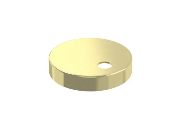 Saneux Toilet Seat Hinge Covers - Brushed Brass