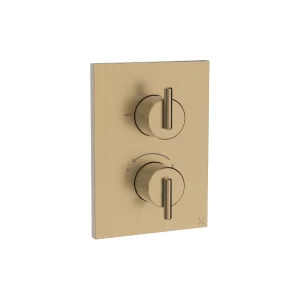 Crosswater Crossbox 3ONE6 Lever 1 Outlet Trim & Levers Stainless Brushed Brass Effect