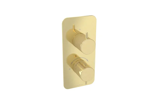 Saneux Eden 2 Way Thermostatic Shower Valve Kit In Portrait - Brushed Brass