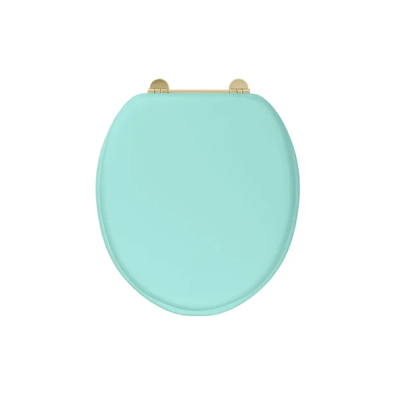 Burlington Bespoke Cosmic Green Seat With Gold Hinges product image - Image 1