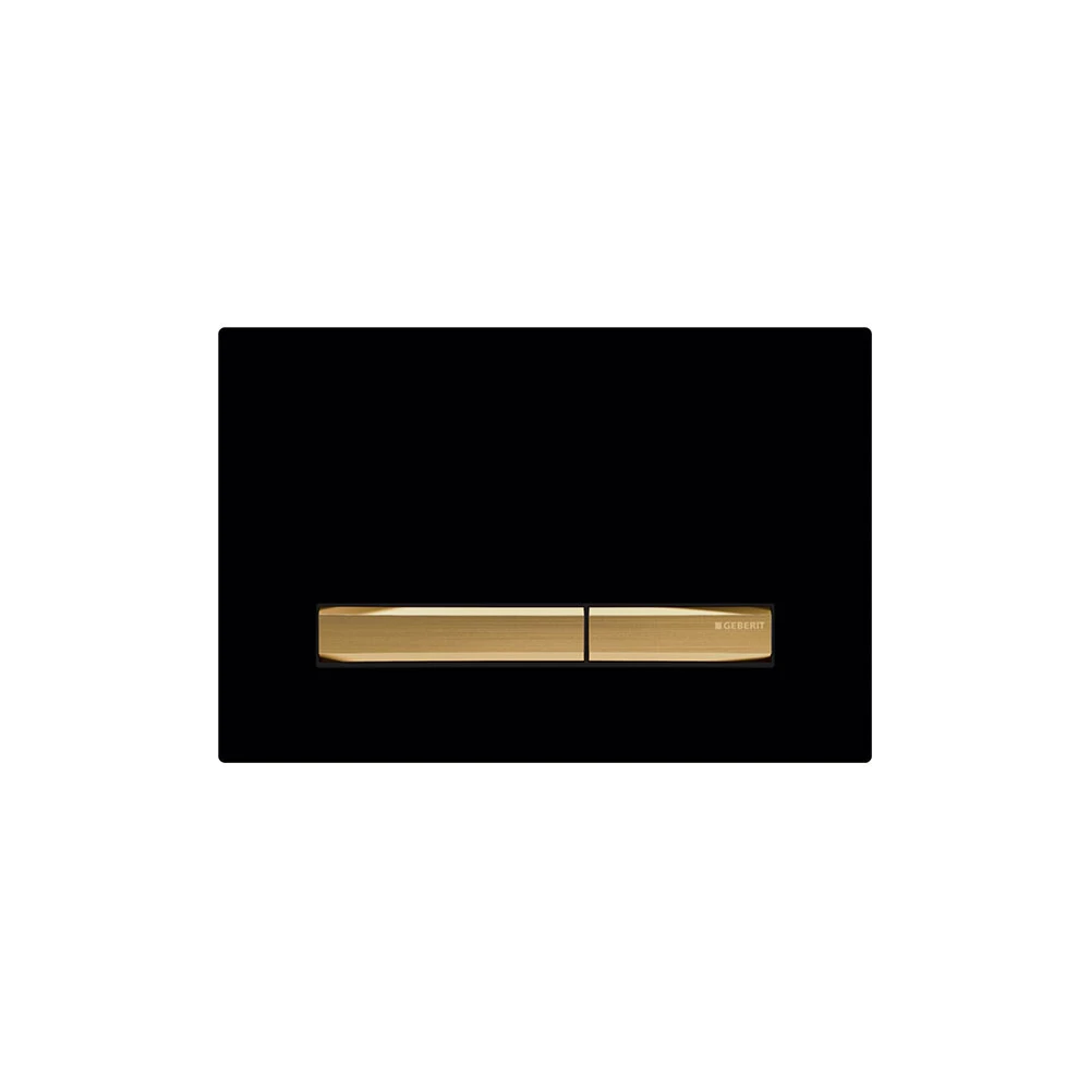 Geberit 115.672.dw.2 Sigma50 Flush Control