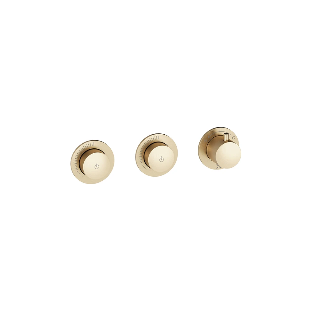 Crosswater Module Mrpo Push 2 Outlet Trimset Brushed Brass