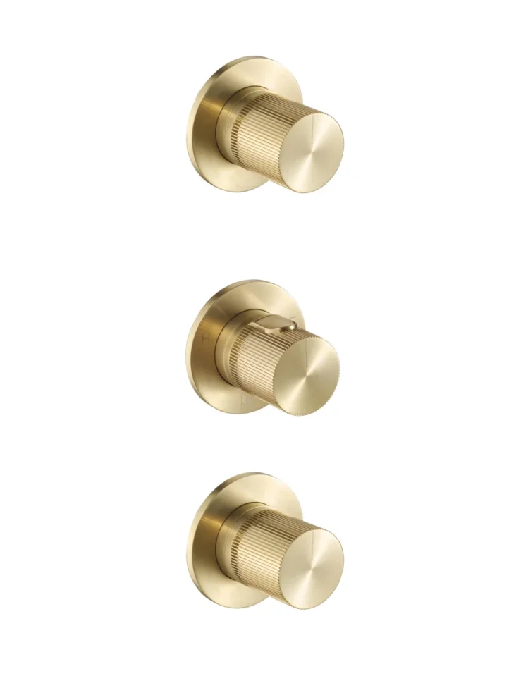 JTP EVO Modular Thermostatic concealed 2 outlet shower valve product image - Image 1