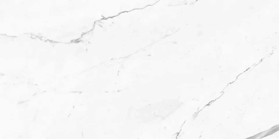 European Tiles Marmo STATUARIO LUX 120 X 60 Rectified Matte Tile STOCK detail view - Image 4