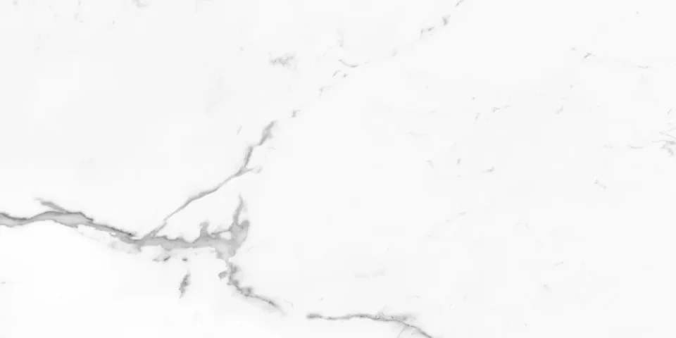 European Tiles Marmo STATUARIO LUX 120 X 60 Rectified Matte Tile STOCK detail view - Image 9