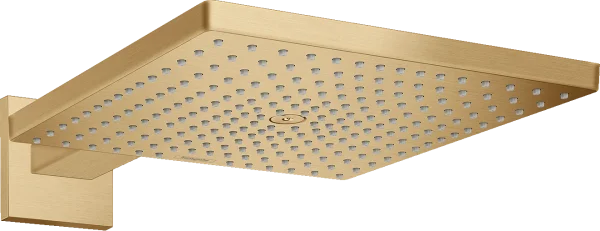 Hansgrohe Raindance E Overhead Showers 485 X 462 X 113mm Bronze - Brushed