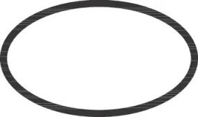 Hansgrohe O-ring 29 X 3