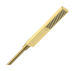 Hansgrohe Pulsify E Hand Showers 240 X 60 X 45mm Gold - Polished