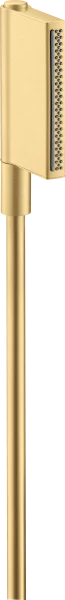 Axor One Hand Shower 2jet Gold Brushed