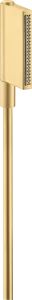 Axor One Hand Shower 2jet Gold Brushed