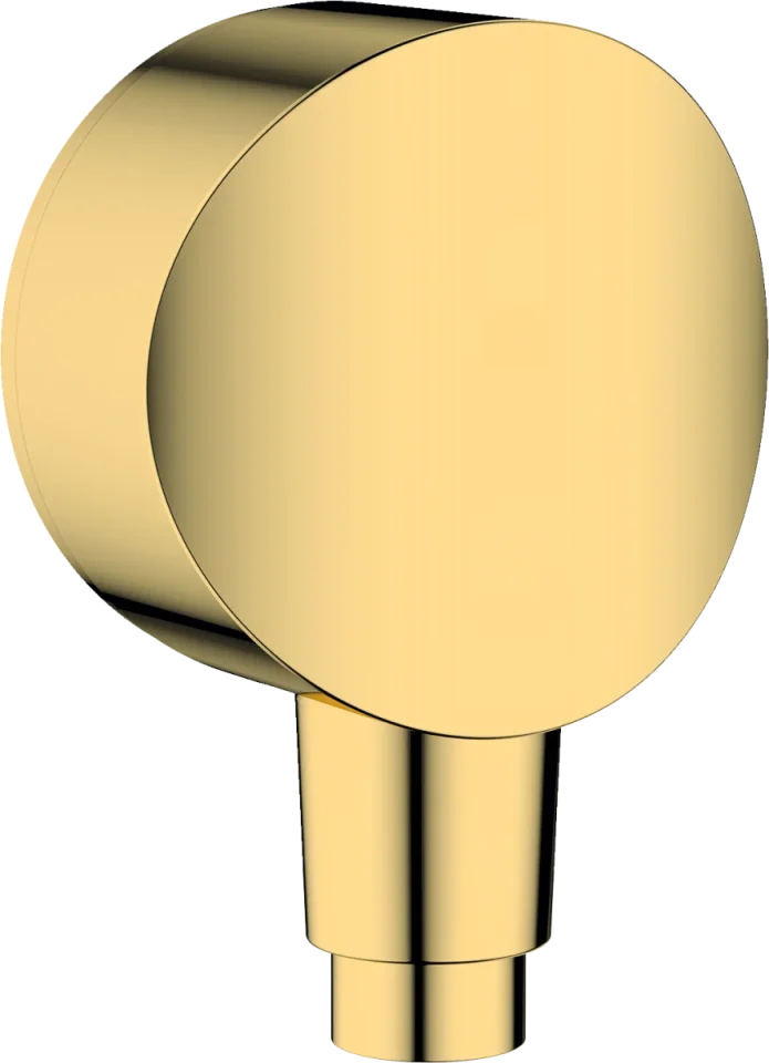 Hansgrohe Fixfit Wall Outlet 119 X 66 X 47mm Gold - Polished product image - Image 1