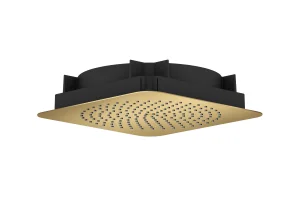 Axor Citterio C Overhead Showers 373 X 373 X 105mm Gold - Brushed
