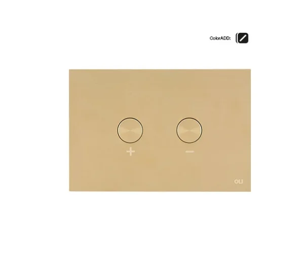 Blink Pneumatic Dual Flush Plate Brushed Brass RT