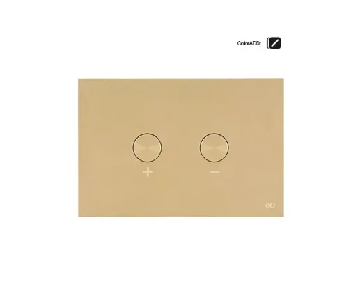 Blink Pneumatic Dual Flush Plate Brushed Brass RT product image - Image 1