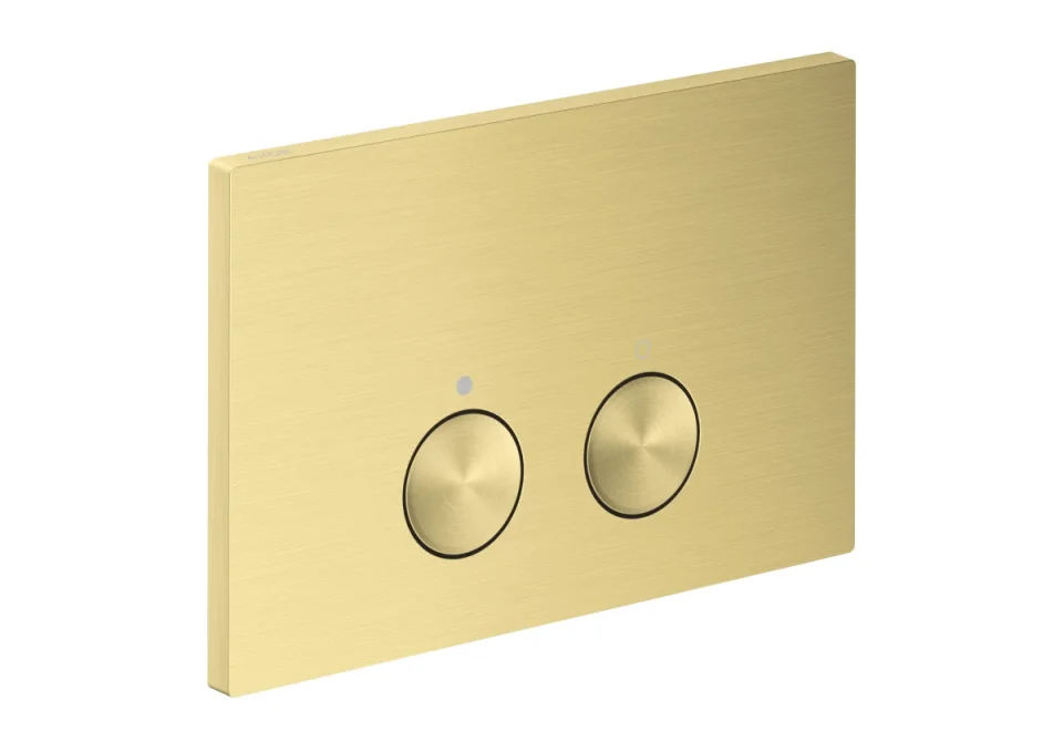 Axor Flushplate Flush Plates 370 X 225 X 100mm Brass - Brushed product image - Image 1
