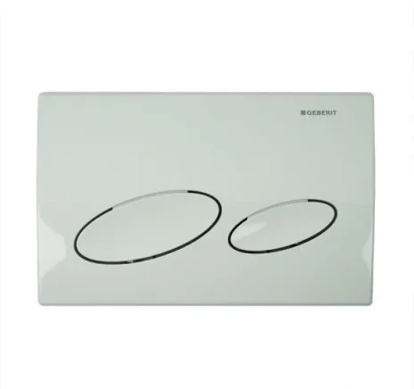 Geberit Kappa20 Flush Plate For Dual Flush - White