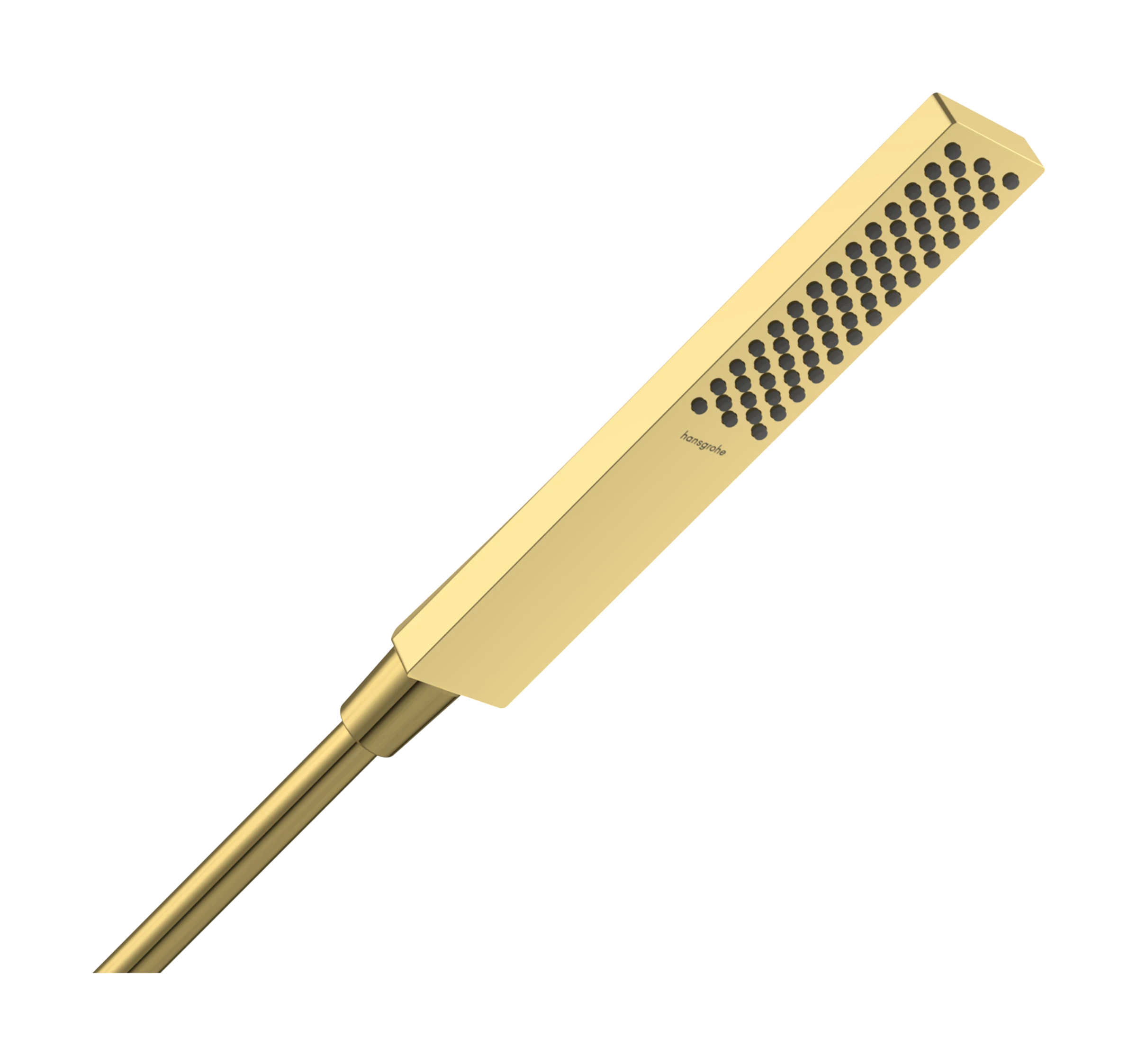 Hansgrohe Pulsify E Hand Showers 250 X 61 X 45mm Gold - Polished