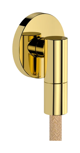 Hansgrohe Fixfit Fine S Wall Outlet 97 X 83 X 65mm Gold - Polished