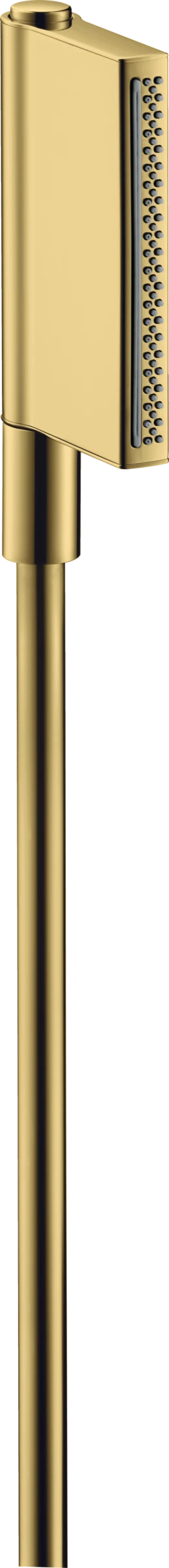 Axor One Hand Shower 2jet Gold Polished