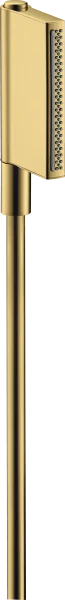 Axor One Hand Shower 2jet Gold Polished