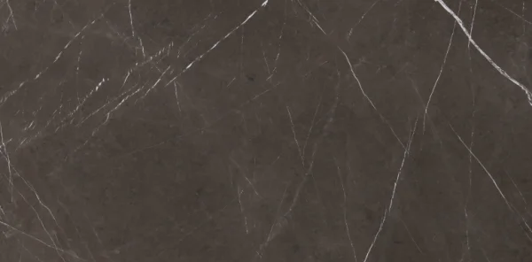 European Tiles Anima Graphite Stormy Grey Matt R10 Tile 60x120cm