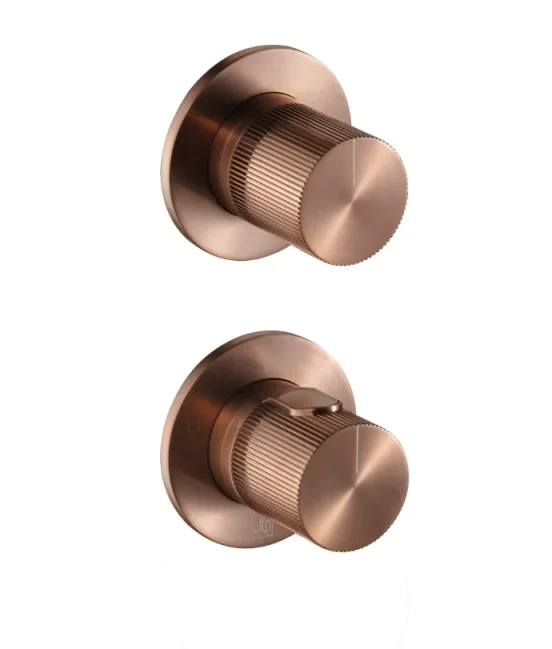 JTP EVO Modular Thermostatic concealed 2 outlet shower valve Brushed Bronze product image - Image 1
